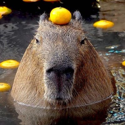 MJさんのプロフィール画像