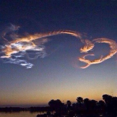 QwvAdmx7sNun3A1's profile picture. 