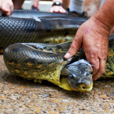 JtMafer's profile picture. 