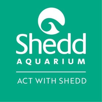 Connecting you with actions you can take to protect, restore & advocate for the aquatic animal world with @Shedd_Aquarium. #ActWithShedd