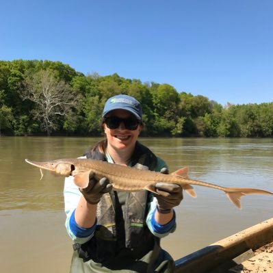 Stream Ecologist at @INHSillinois