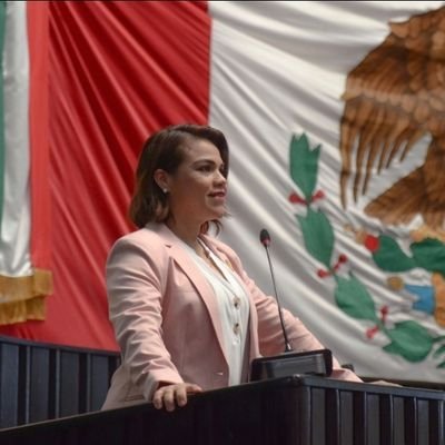 Diputada Presidenta de la Junta de Gobierno y Coordinación Política del @CongresoQroo #XVILegislatura 🏛