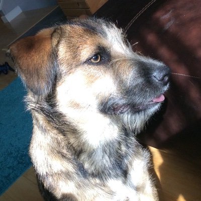 👵🏻Retired, dog lover, and reader. I believe truth. Opinions need support or they’re based in gossip & rumor. SHOW ME FACTS. I may change my mind. No DMs 🇺🇦