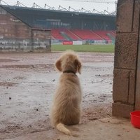 Graeme Glen (@gggroundsman) 's Twitter Profile