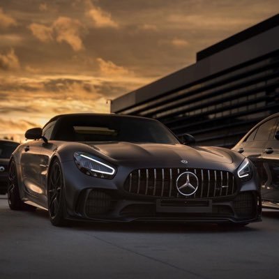 GreyyGoosee's profile picture. 