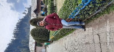 lonejavid123's profile picture. 