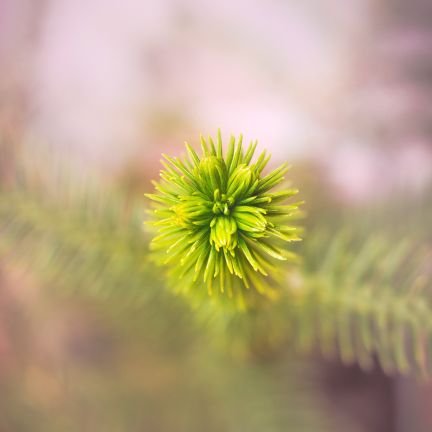 Nishant29554839's profile picture. 