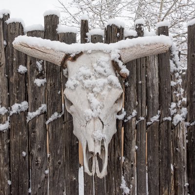 galibus_u's profile picture. OVER 18 PLEASE! NFSW