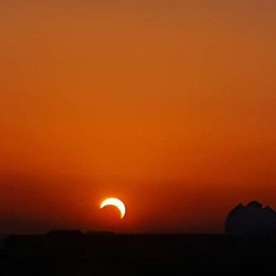 XGQ9GjToIX1Bcxf's profile picture. 