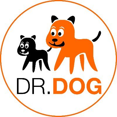 Dr.Dog