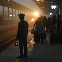 かっきー🎴🦊 (@6y5lg9) 's Twitter Profile Photo