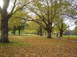 Londonfieldsluv's profile picture. Lost-in-London Northerner writing about why E8 is the best postcode in the capital.