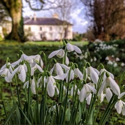 Retired Headmaster renewing connections to my rural roots #Ireland #Nature #Countryside #Gardening #Fishing #Dogs #IrishHistory #IrishCulture #WritersCommunity