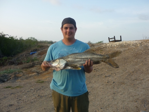 Organizo eventos de todo tipo, y alquilo equipos de audio!!! dar soluciones es lo primordial!!!
me encanta la pesca.... +5934