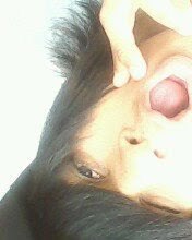 Perfil Orkut .http://t.co/9VMkEdxtNd

Msn. fellipe.diamonds@hotmail.com