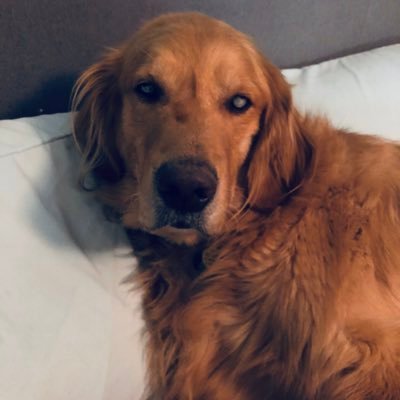 Jeannie14716086's profile picture. Teacher