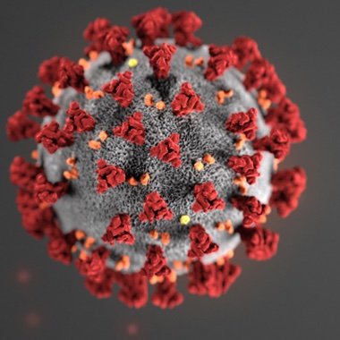 Wang, C.C. et al., 2021. Airborne transmission of respiratory viruses. Science, 373(6558), p.eabd9149.