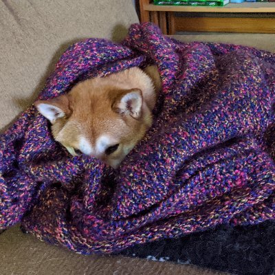 Xanaphi's profile picture. Just me I guess... following people I like, trying to help my friend's shop, and occasionally posting stuff like my pets... and maybe my WoL