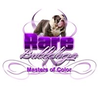 The Original RARE BULLDOGS Producers of the Planet's First Lilac Tri English Bulldog. Absolutely the BEST in Rare Color AKC Bulldogs for You & your family.