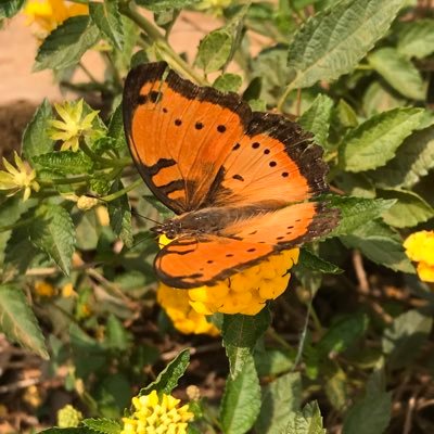 Snap_It256's profile picture. In love with cute pics