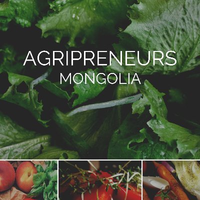 Help to develop Agripreneurship in Mongolia by promoting and supporting small-scale agribusinesses in the rural areas.