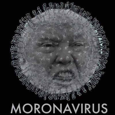 TrumpVirus2 Profile Picture