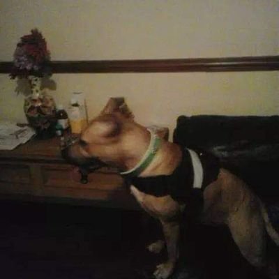 Sarah47898049's profile picture. love celebrity's