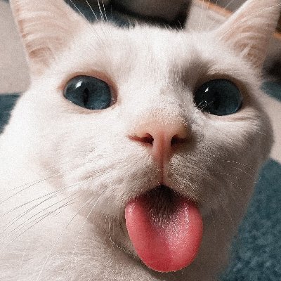 liljanz7's profile picture. Dead inside but still horny. Los pies en la tierra y la mente en las nubes. Venezolano.