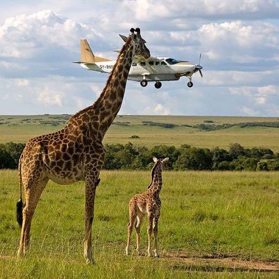 PaulTapley8's profile picture. you are talking to one of my two heroes