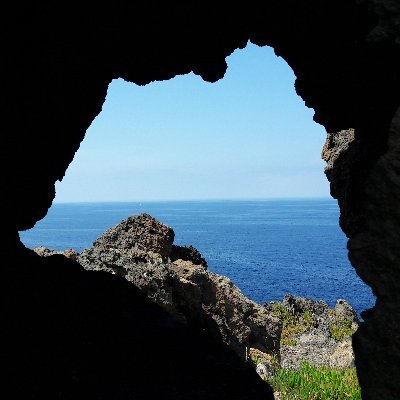 Claudia Fayenz Profile