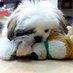 Jasper Dog (@jasperstaple) Twitter profile photo Jasper Dog (@jasperstaple) Twitter profile photo
