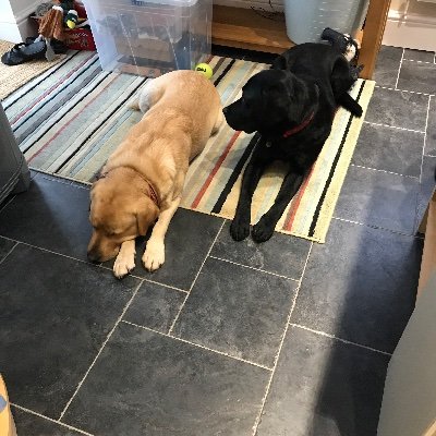 PamKW1's profile picture. 