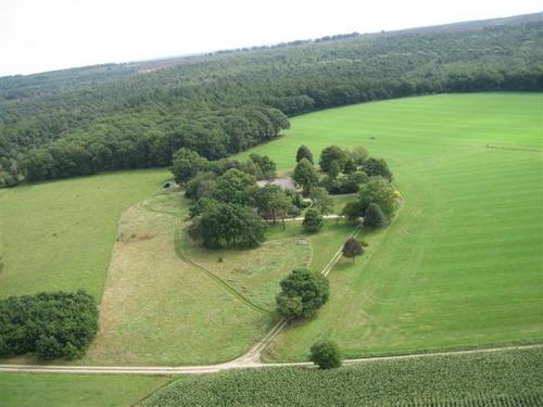 Luxury B&B in National Park Sallandse Heuvelrug, NL. Quiet comfort, wildlife, wilderness, bikes, walks, old castles and towns. A perfect place to relax & enjoy.