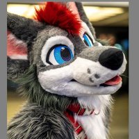 BurcisWolf (@burciswolf) 's Twitter Profile Photo BurcisWolf (@burciswolf) 's Twitter Profile Photo