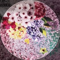 ☆Sakura☆ (@dr_sakura7) 's Twitter Profile