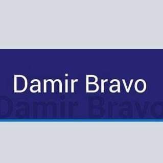 BravoDamir Profile Picture