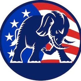 Republicans Pounce Profile