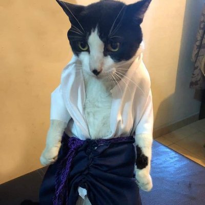 JUbk19's profile picture. .....