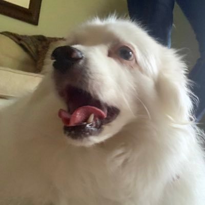 hflynnn's profile picture. expert