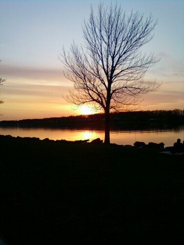 cathylou40's profile picture. It's not mean if it's true...