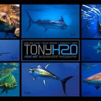 Tony H2O(@TonyH2Oart) 's Twitter Profile Photo