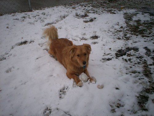 EfactorHoward's profile picture. 