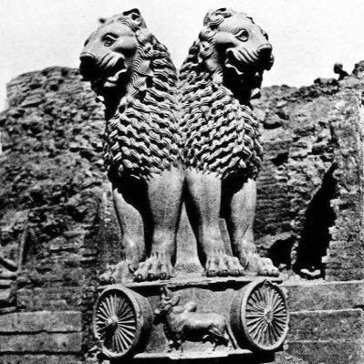 amdavad_'s profile picture. make amdavad great again.