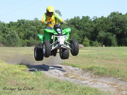 MichiGator's profile picture. Living and Working in Gainesville, Florida Go Gators!