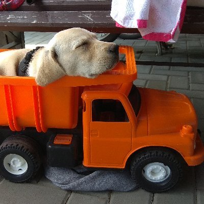 stribrnyvitr's profile picture. ..jen tak..