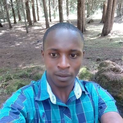 joskim12's profile picture. 