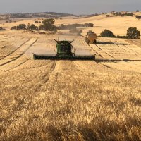 Duncan Young (@duncanyoung_wa) 's Twitter Profile Photo Duncan Young (@duncanyoung_wa) 's Twitter Profile Photo