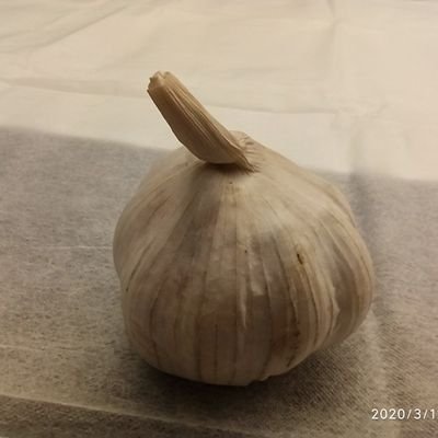 YRan1216's profile picture. 一个人的碎碎念