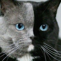 不幸哭ki (@oohwoodman) 's Twitter Profile Photo 不幸哭ki (@oohwoodman) 's Twitter Profile Photo