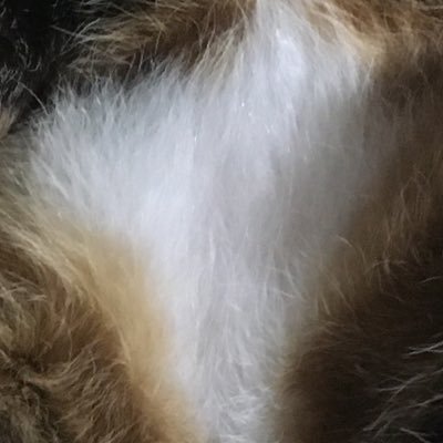 S_N_read's profile picture. 3DCG/手毬など　アニメ業界の隅になんとか　大量にいいねしますが怖がらないでくれると嬉しい、スパムっぽいのはブロックしてるので自我を出しといてくれると嬉しい、思想強いからブロックしてください
〜2022 KUA芸術教養学科修了
2024〜 KUA工芸デザインM2
inst:s_n_read